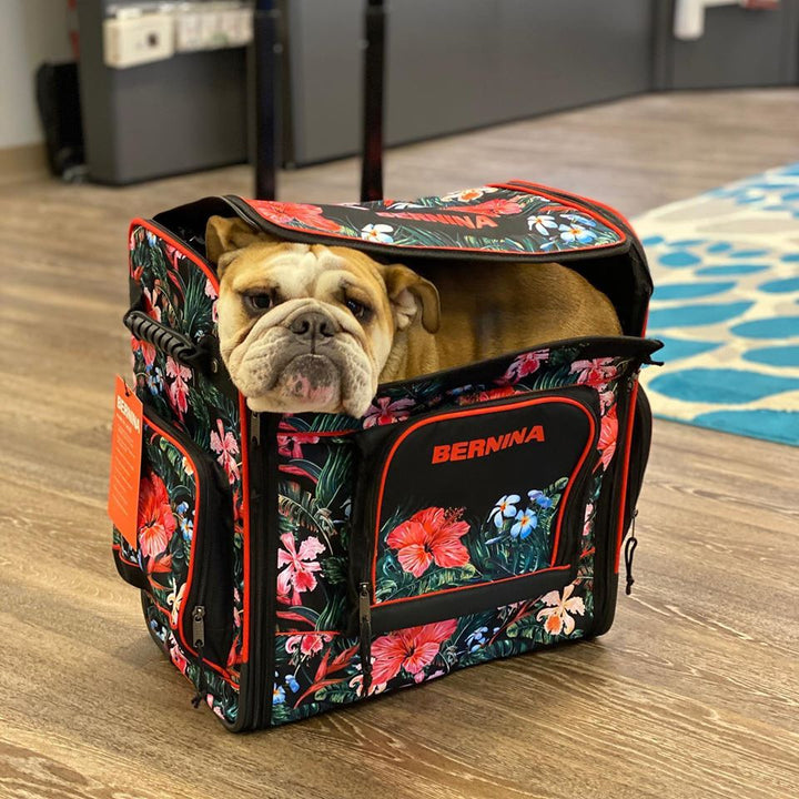 Sew Many BERNINA Promotions, It takes a Bull Dog to Explain It