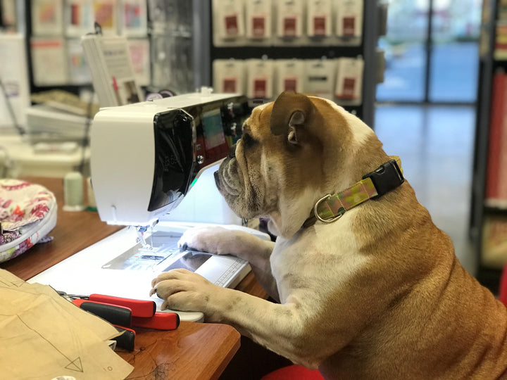 We're Open (And I am suffering)