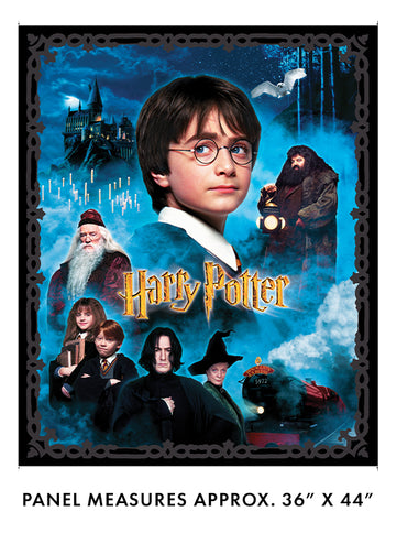 HARRY POTTER: Movie Poster Panel
