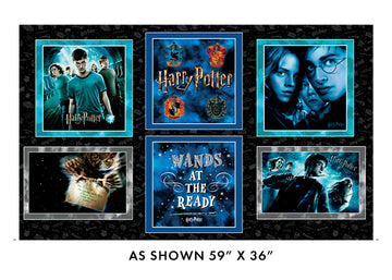 HARRY POTTER: Pillow Panel