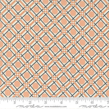 Owl O Ween: Party Plaid-Ghost (1/4 Yard)