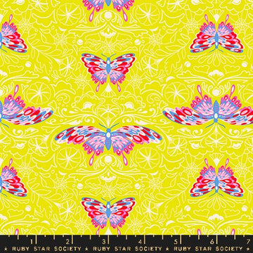 Ruby Star Society GLOW GARDEN: Morning Moth-Citron (1/4 Yard)