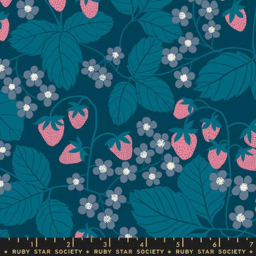 Ruby Star Society REIMAGINED LANDSCAPES: Strawberry Field-Galaxy (1/4 Yard)