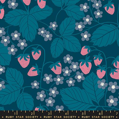 Ruby Star Society REIMAGINED LANDSCAPES: Strawberry Field-Galaxy (1/4 Yard)