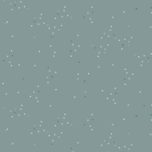 ADVENTALE: Twinkle Little Stars-Sky (1/4 Yard)
