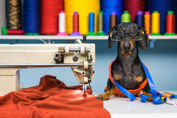 Basic Sewing Class for Rank Beginners