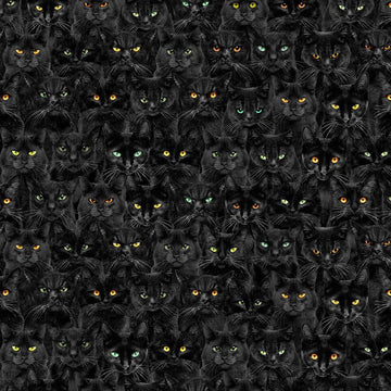 PICK YOUR POISON: Wicked Black Cats Magic-Black (1/4 Yard)