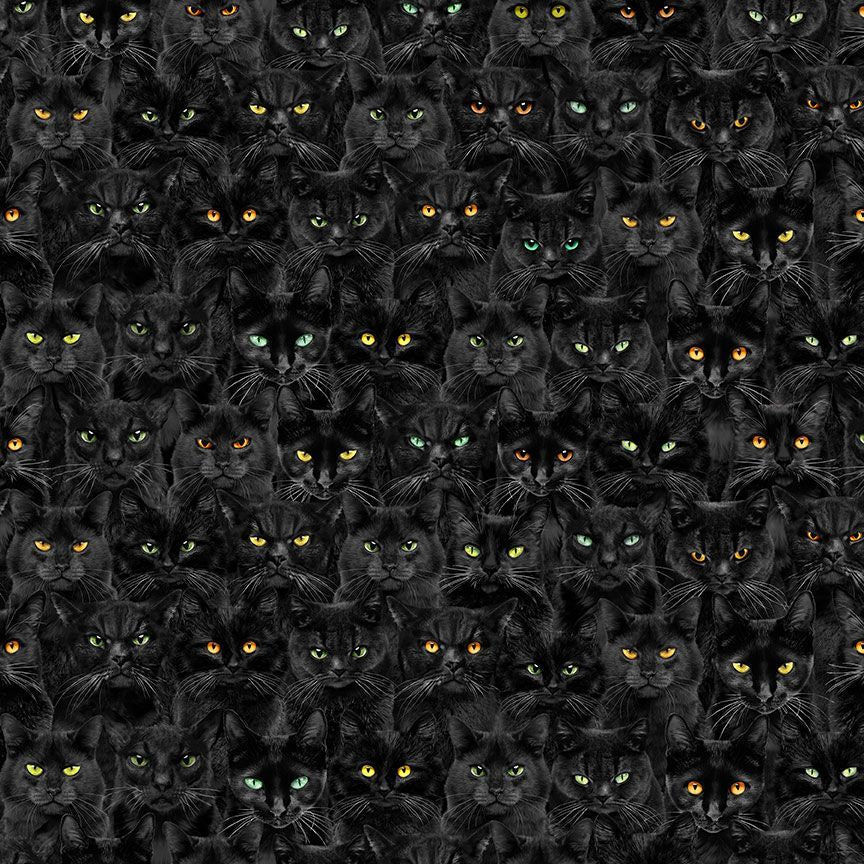 PICK YOUR POISON: Wicked Black Cats Magic-Black (1/4 Yard)