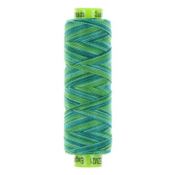 ELEGANZA: 8wt Cotton 70yds-Variegated Birds Eye View 21