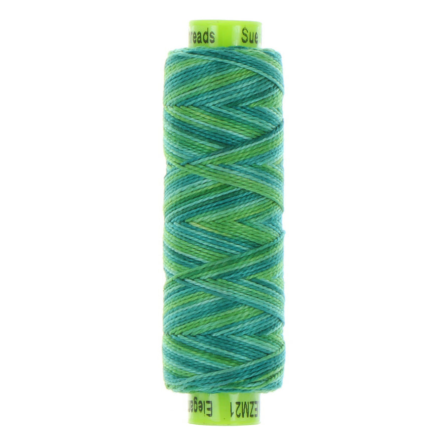 ELEGANZA: 8wt Cotton 70yds-Variegated Birds Eye View 21