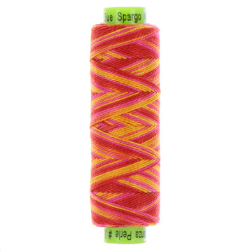 ELEGANZA: 8wt Cotton 70yds-Variegated Clambake 25