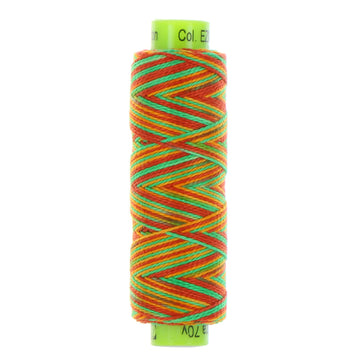 ELEGANZA: 8wt Cotton 70yds-Variegated Foot Loose 49