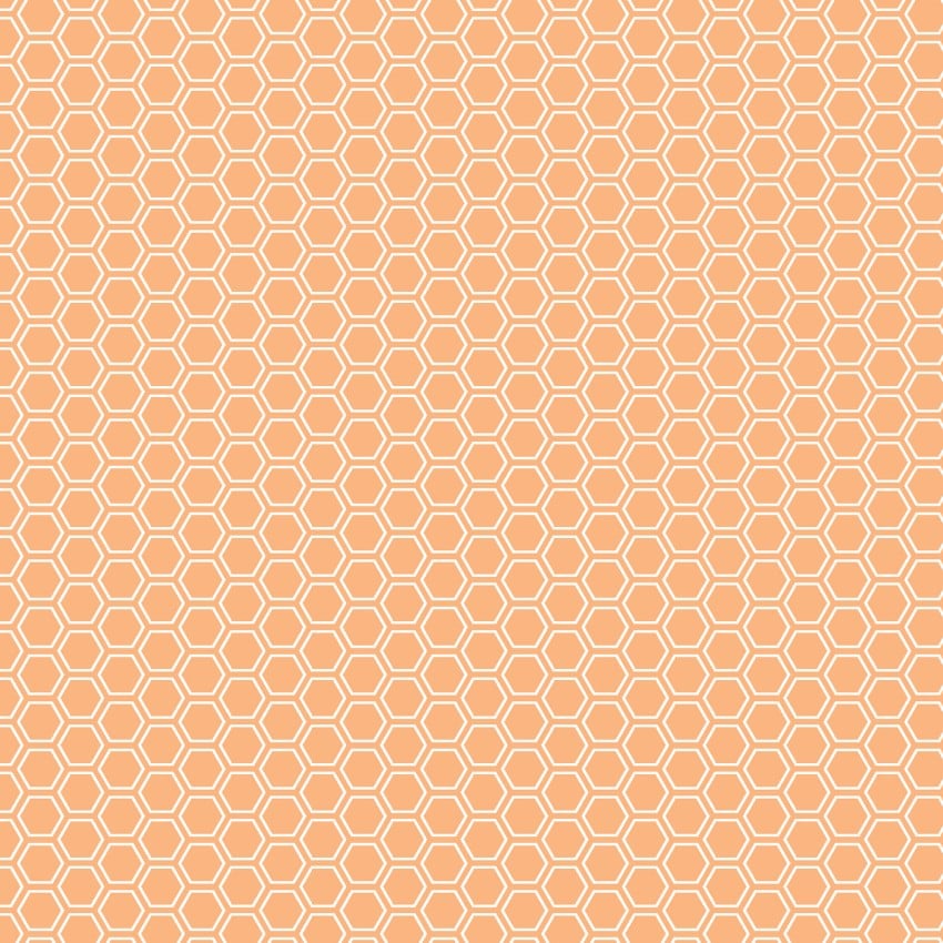 Kimberbell Basics: Honeycomb-Orange (1/4 Yard)