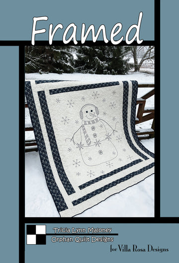Villa Rosa Designs: Framed Quilt