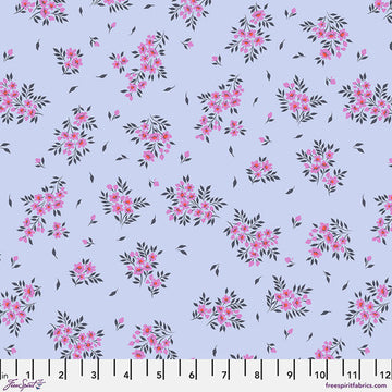 Tula Pink TRUE COLORS: What a Ditz-Frost (1/4 Yard)
