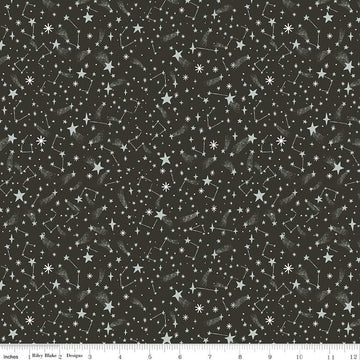 TWAS: New Fallen Snow-Charcoal Sparkle (1/4 Yard)