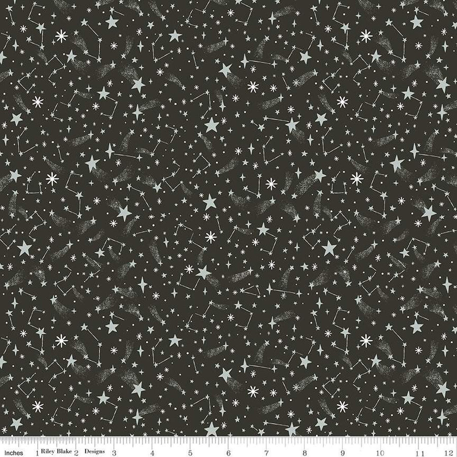 TWAS: New Fallen Snow-Charcoal Sparkle (1/4 Yard)