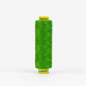 Spagetti (109yds): 12wt Fresh Lime