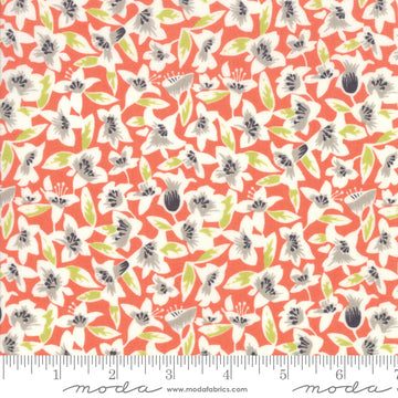 Fine and Sunny - Persimmon floral (1/4 Yard)