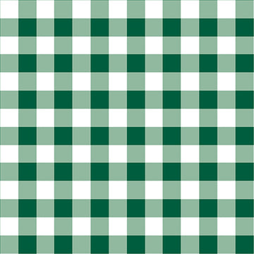 Warp and Weft Holiday- Checkerboard Evergreen (1/4 Yard)