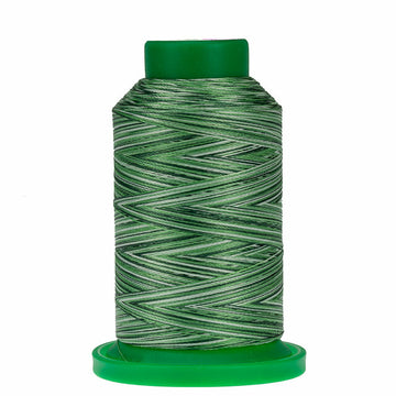 Isacord: 1000m Polyester-Variegated Shades of Grass 9805