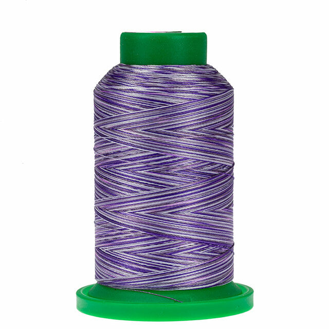 Isacord Variegated 1000m Polyester: Grape Crush-9921
