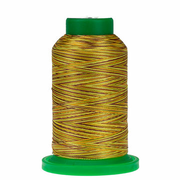 Isacord: 1000m Polyester-Variegated Autumn Harvest 9975