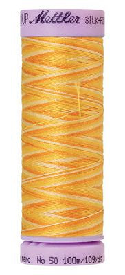 SILK-FINISH: 50wt Cotton Variegated 100m-Horizon 9827