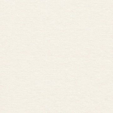 Avalon 1x1 Rib Knit: Cream (1/4 Yard)
