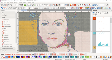 Pre-Recorded BERNINA Embroidery Software: Advanced Cross Stitch