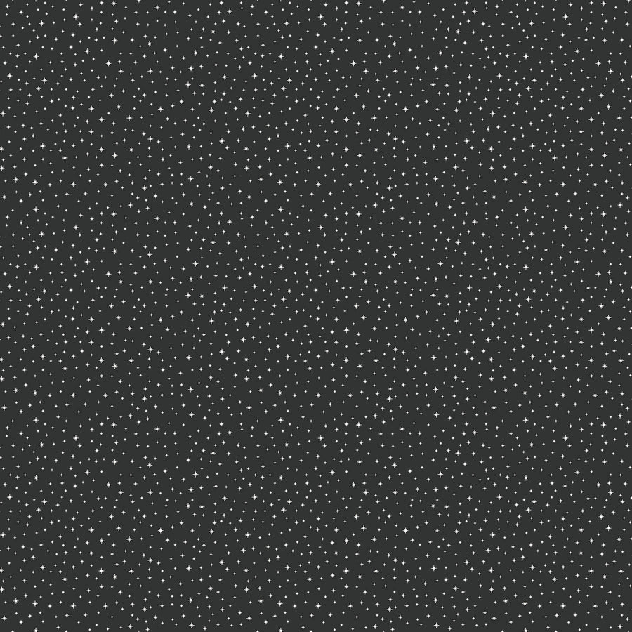 Peppermint Rayon in Black (1/4 Yard)