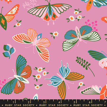 Stay Gold: Kiss Butterfly (1/4 Yard)